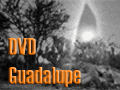 Ad