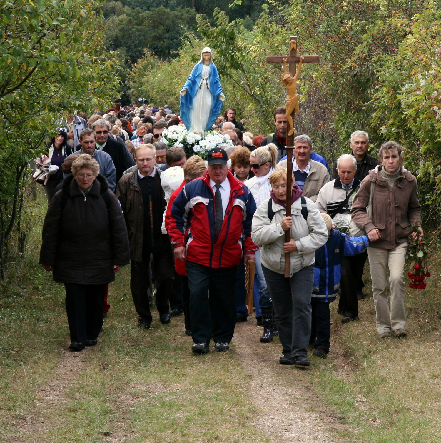 Dechticeputnici