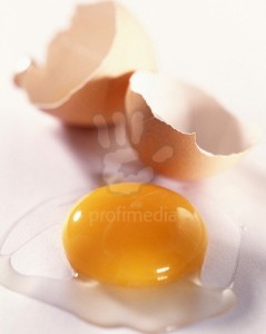 Egg Yolk and Egg Shell