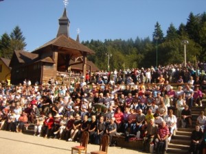 zvir
