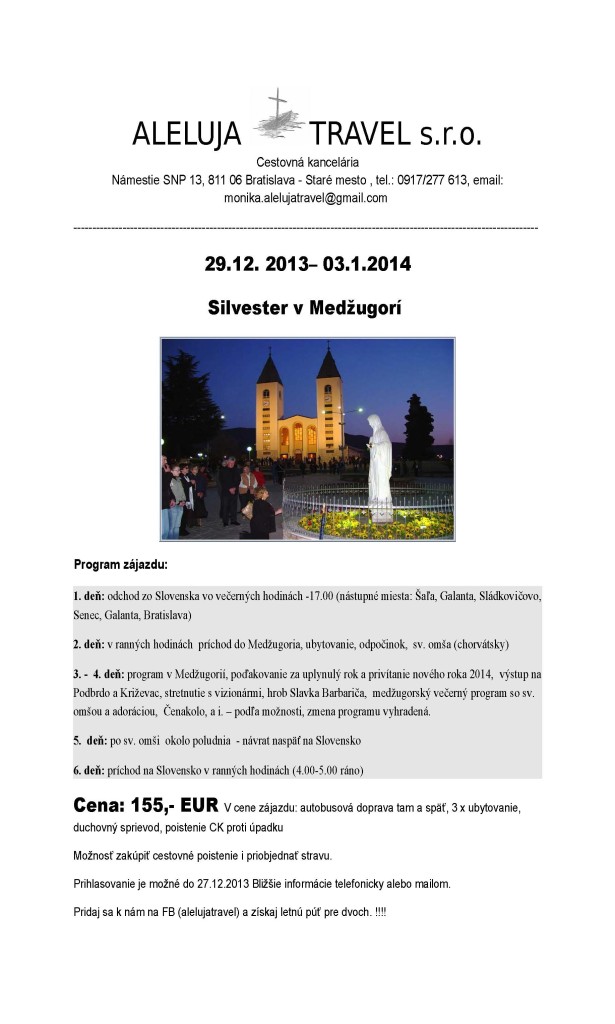 plagat MDZG silvester