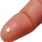 euchip