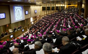Biskupská synoda – Rím:  Horúce správy, Kino