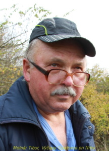 s9tibor