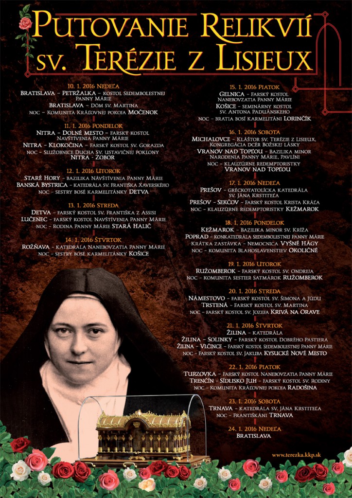 Terezka plagat web (1)