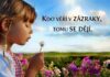KINO: Dievča, ktoré verí na zázraky (USA, 2021)